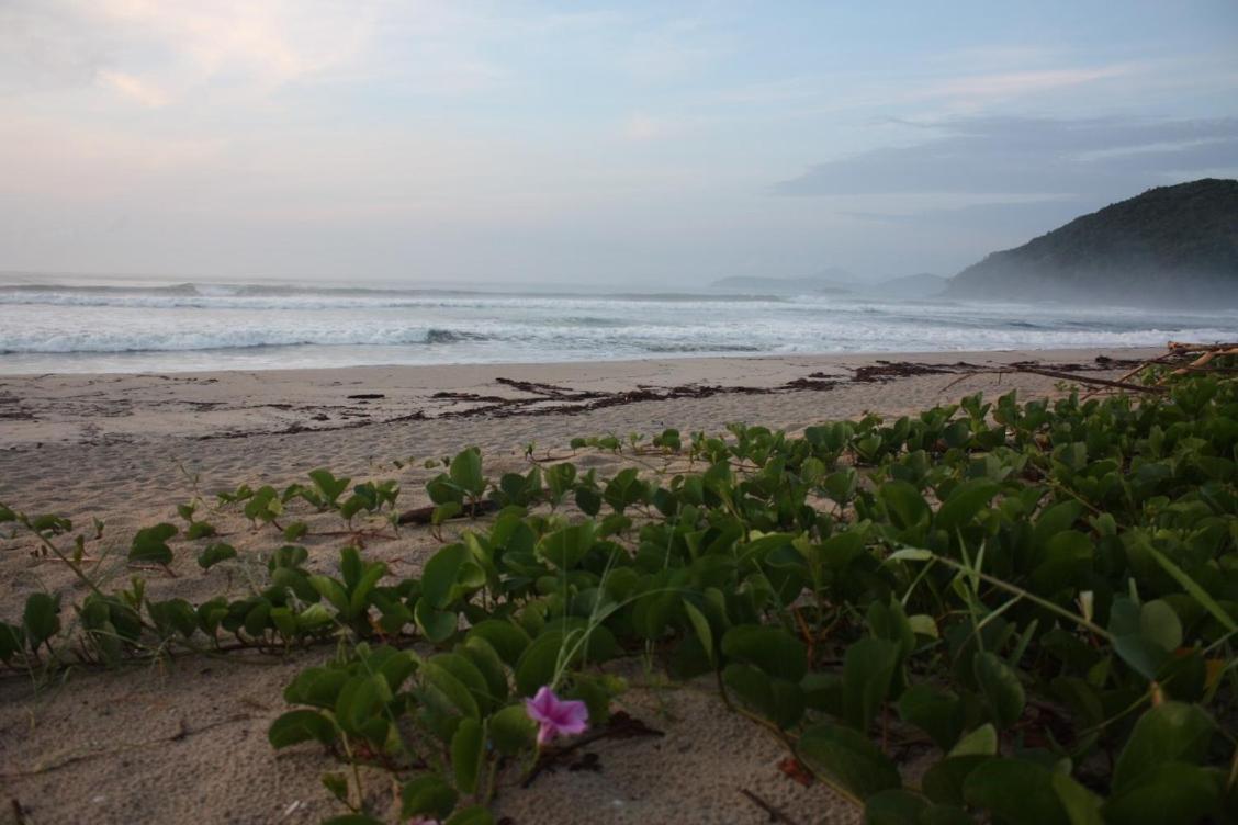 Maloquinha Itamambuca. A Mais Charmosa De Ubatuba. Eksteriør billede